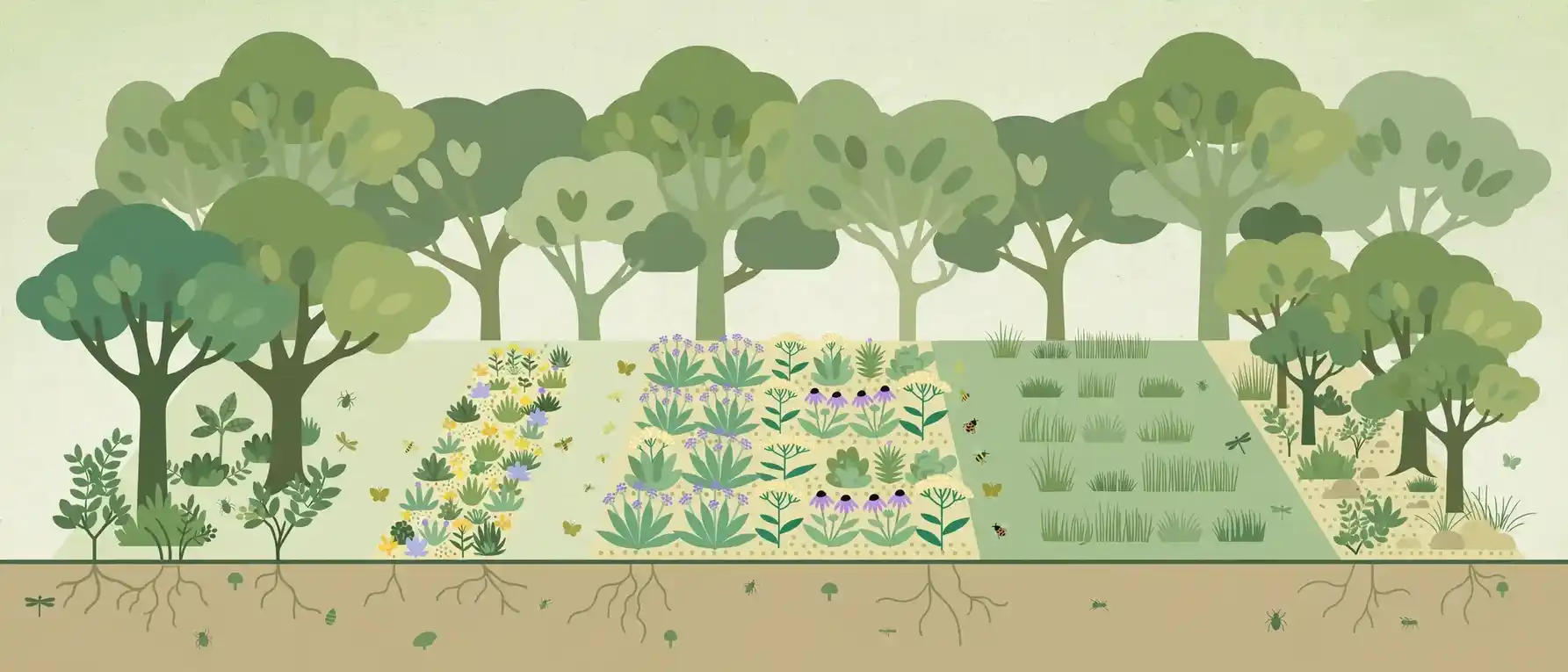 stormwater-water-efficiency